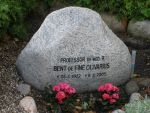 Bent De Fine Olivarius.JPG